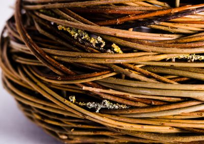 Angela Cole Yorkshire Willow Baskets