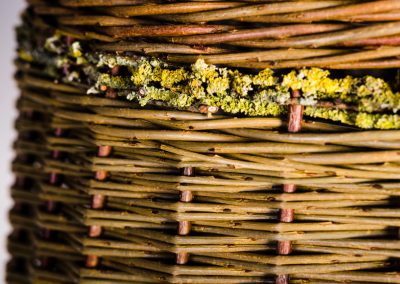 Angela Cole Yorkshire Willow Baskets